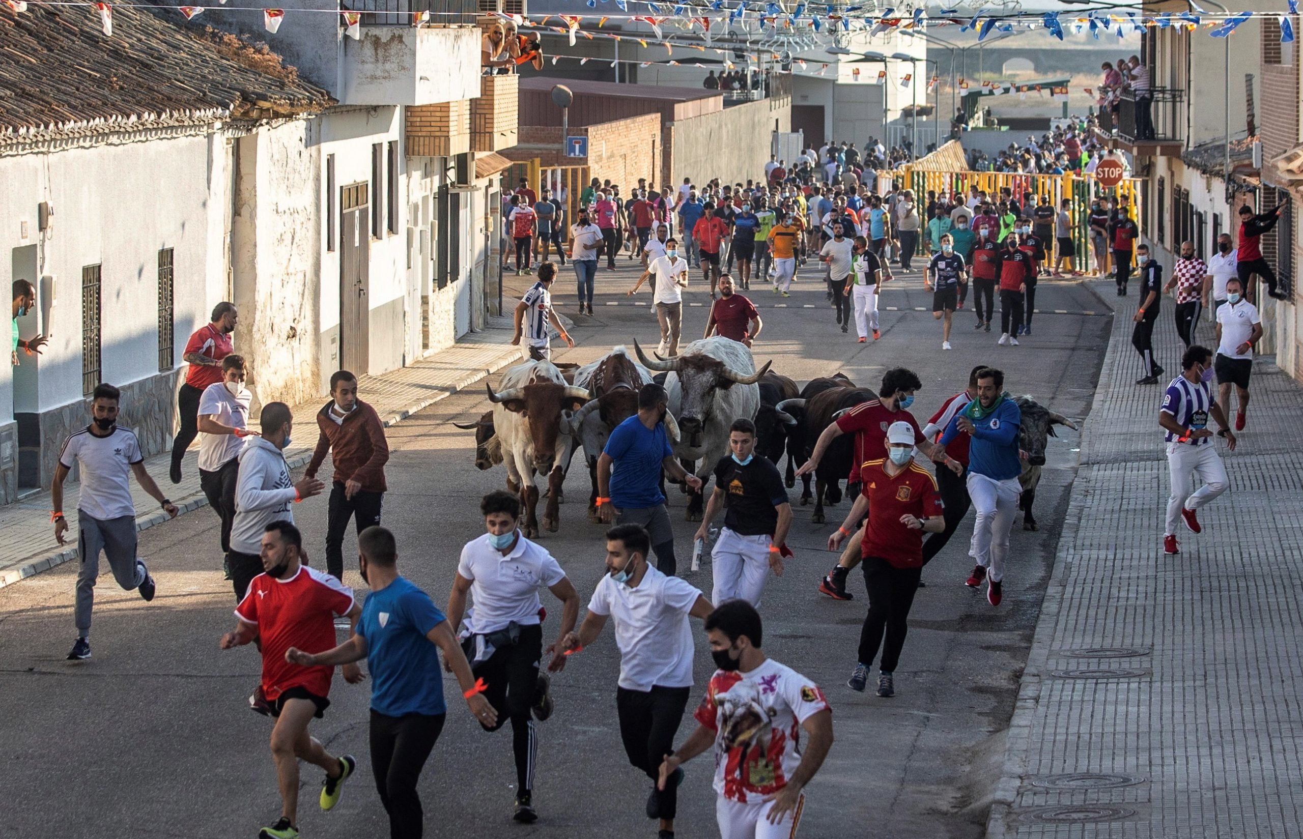 拼盘 2图／西班牙疫后首场奔牛节活动开跑 限900人让牛追