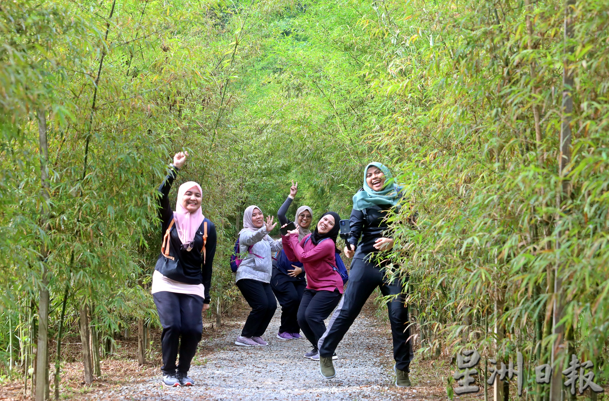 1日见报//大都会/疫起出游：Tmn Tugu Forest Trail