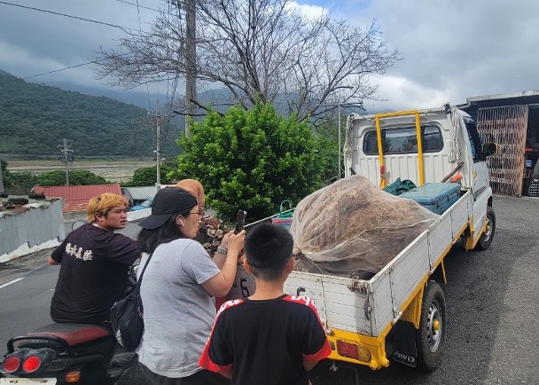 拼盘／虎头蜂窝直径逾1米　台民众忧威胁安全摘除