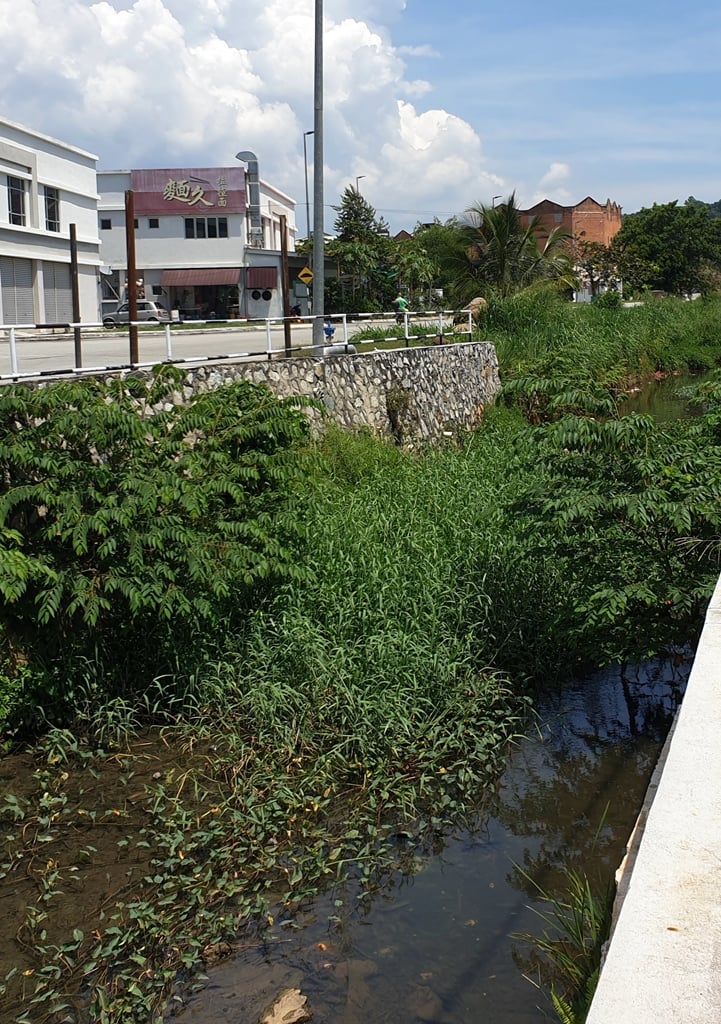 NS芦骨：童年清澈河道边“垃圾沟”，女地主促政府设告诫路牌，对付垃圾虫