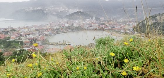 【土耳其】爱上黑海边上的城市