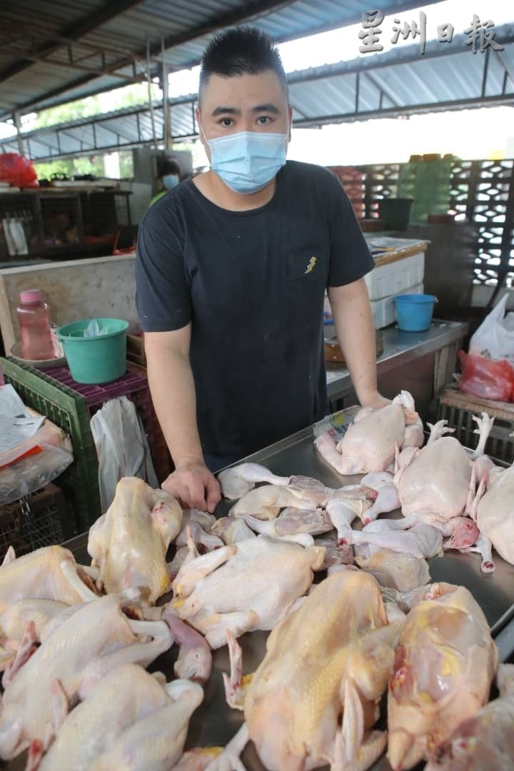 大霹雳时事焦点／风险大鸡农不敢加养 鸡价猛涨30%破新高