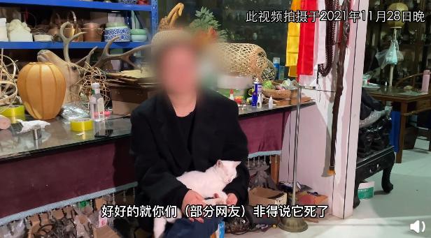 小猫被电死？ 《当家主母》发视频报警证健在