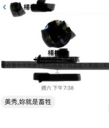 林美秀被辱骂“你就是畜生”　小14岁夫公开私讯反击