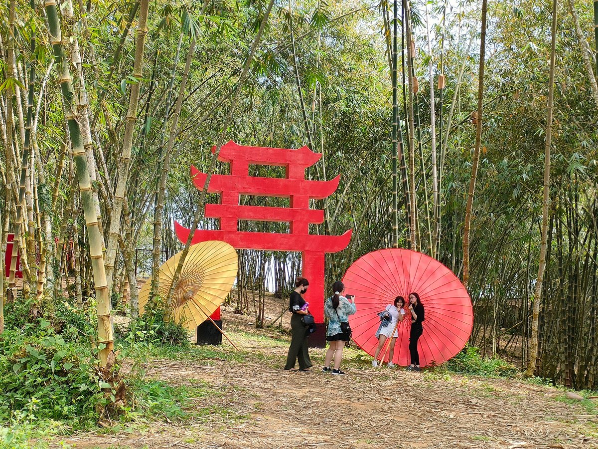 柔：【特稿】：《复苏跨县乡镇游》古来篇：古来旅游景区蓄势待发