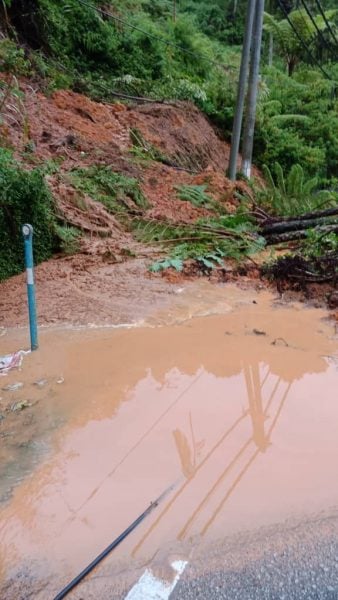 金马仑暴风雨树倒压车  至少6处土崩影响交通