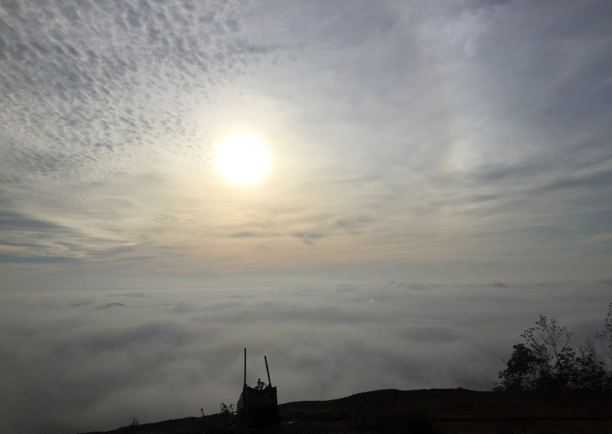 （已签发）柔：【复苏期中乡镇游】之昔加末篇：走山采果亲近小动物，昔加末的大自然与亲子游