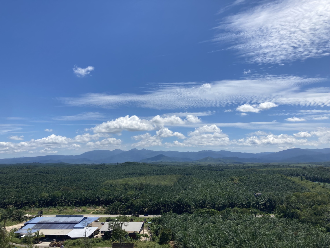 （已簽發）柔：【復甦期中鄉鎮遊】之昔加末篇：走山採果親近小動物，昔加末的大自然與親子游