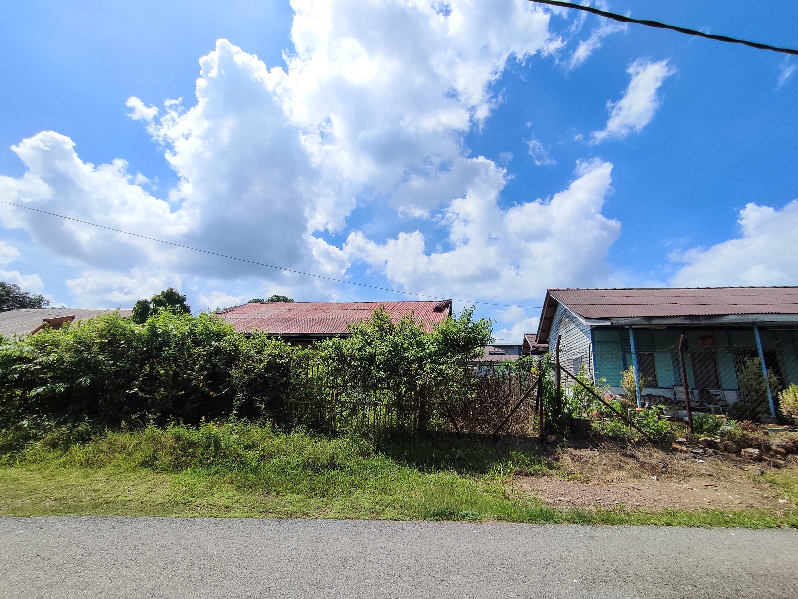 NS马口:隔壁荒废木屋成草丛，邻居住家10天内3次现蛇踪