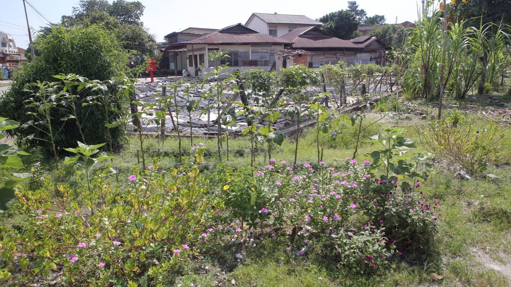 怡市厅与特许公司签协议建定期废料土埋场- 地方- 大霹雳- 时事焦点- 大 