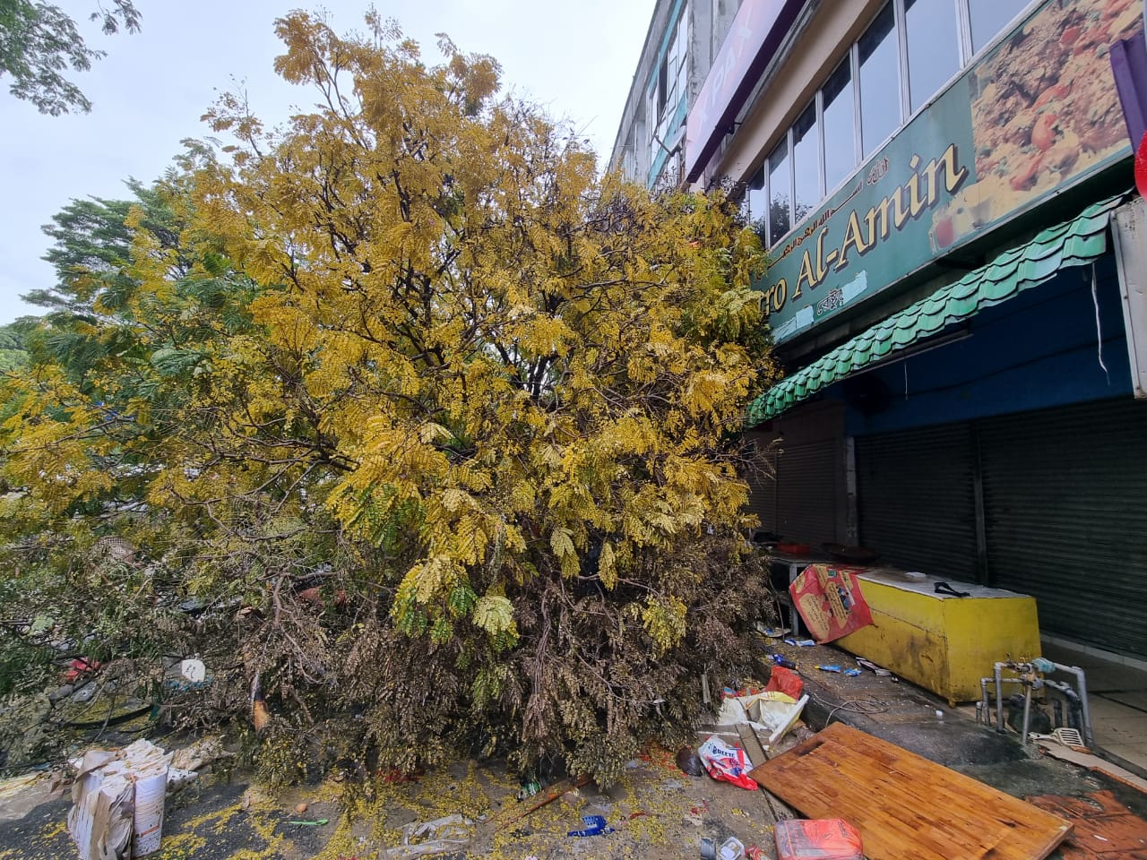 封面人头//大都会-巡视沙亚南太子园（人头访）（14图）