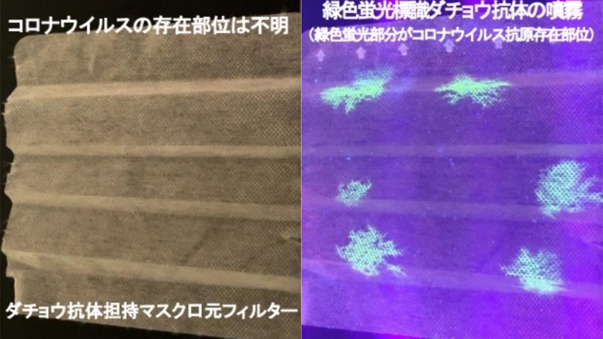 拚图)日本发明出「高科技侦测口罩」　碰到冠病病毒会在紫外线下发光