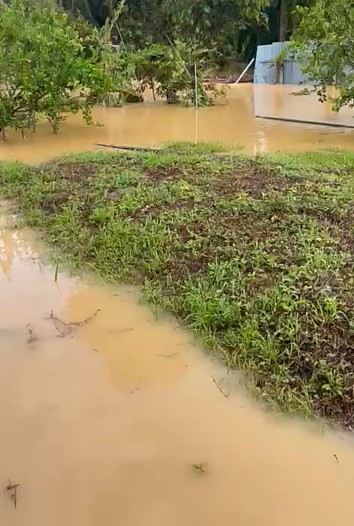 连续两夜连夜雨 和丰连登水淹两尺