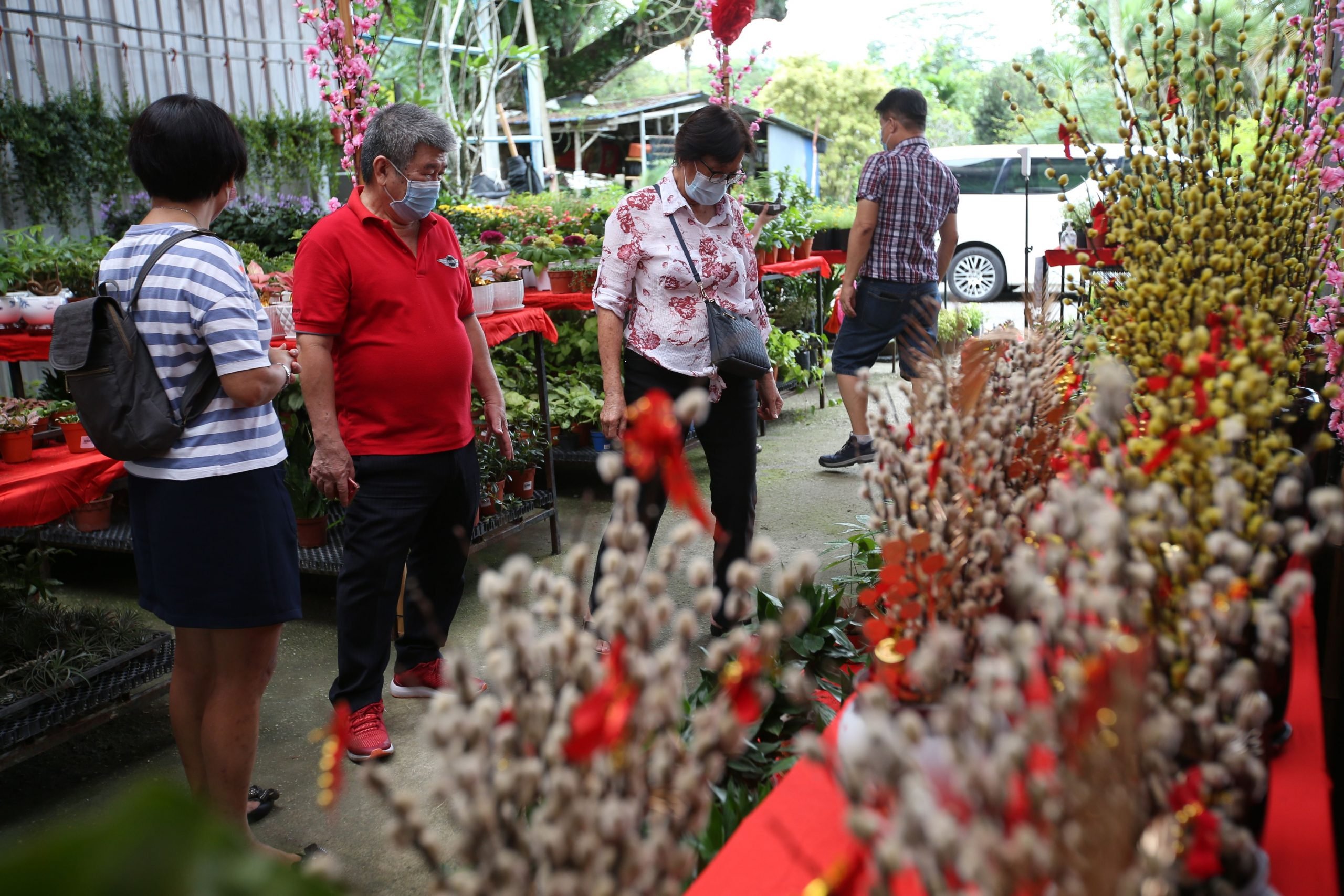 大都会封底-走访双溪毛糯花圃 14图