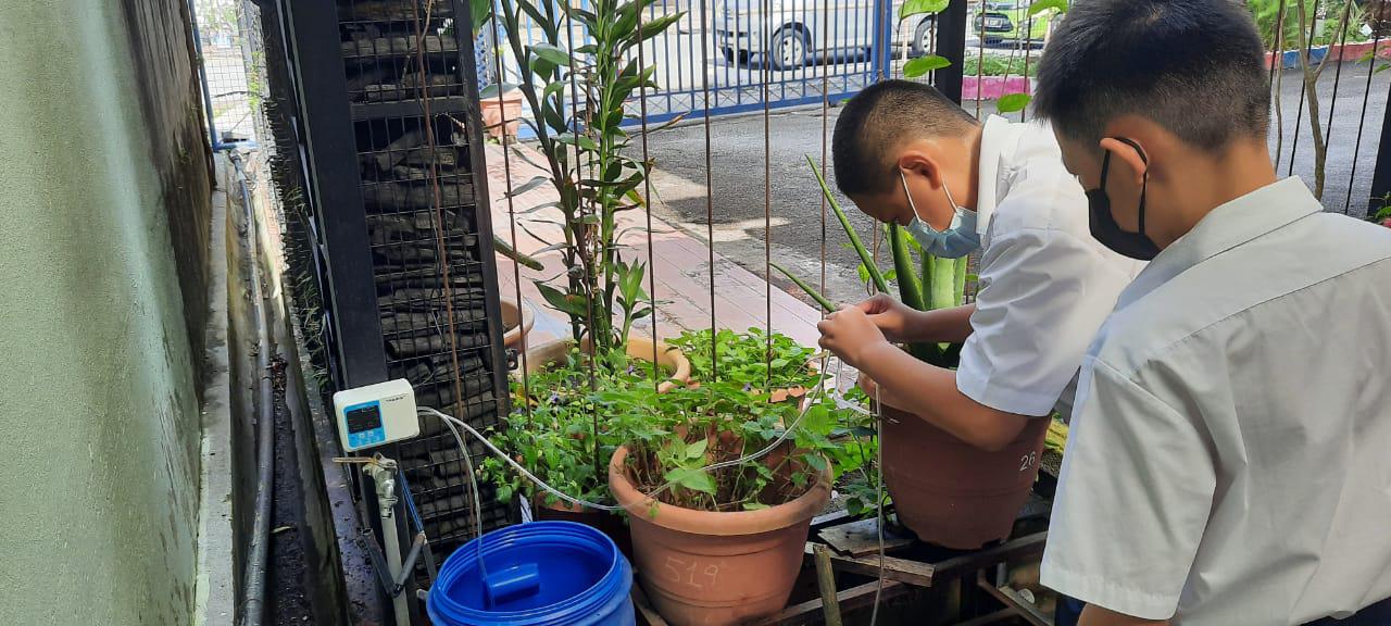 （大北马）协和小学与相关单位联手合作下在校园安装自动浇水器