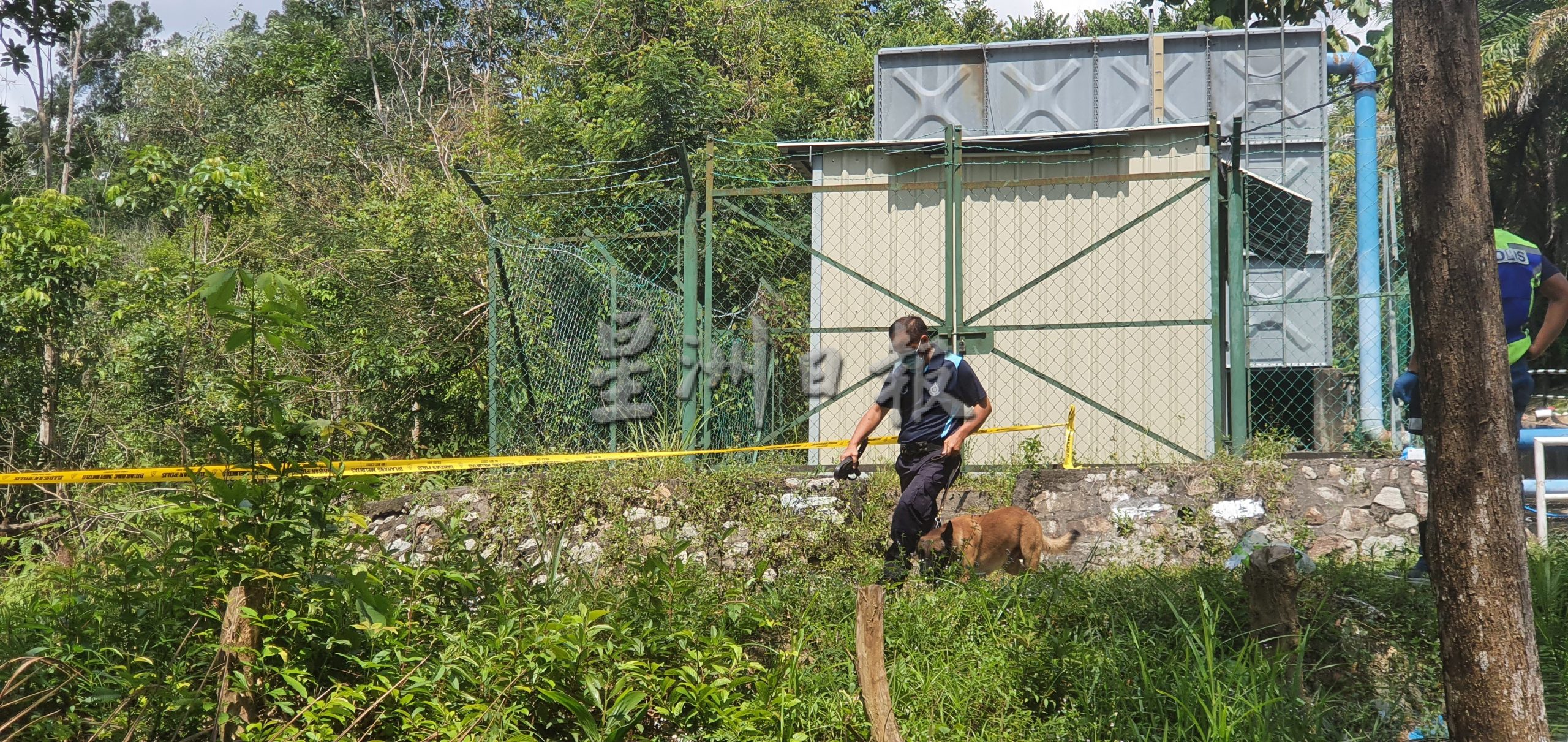 全国版/芙蓉断崖岭弃尸案，警方整夜搜查无收获，今再加派警犬及人手扩大搜查范围