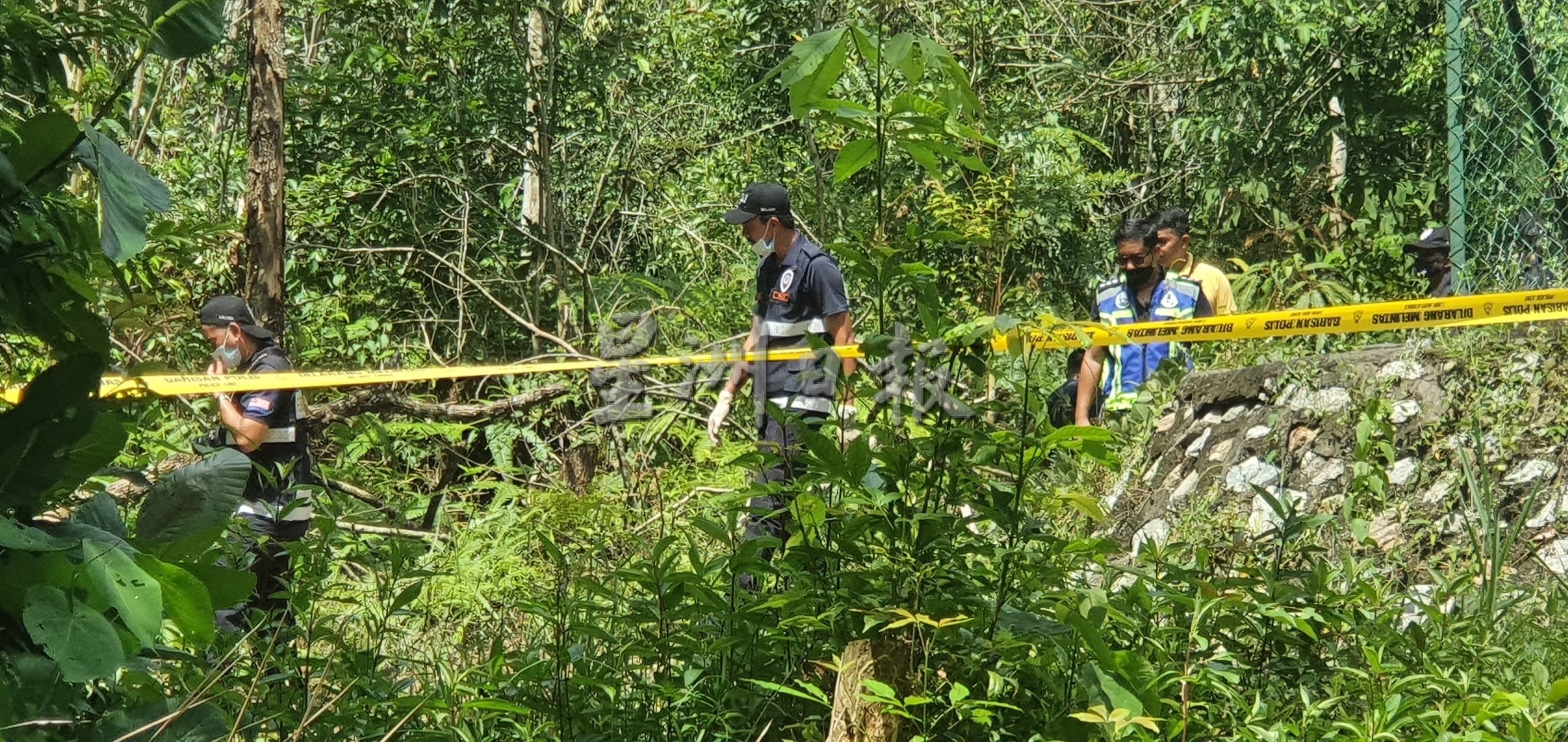 （取代前稿）全国版/芙蓉断崖岭弃尸案，警方整夜搜查无收获，今再加派警犬及人手扩大搜查范围