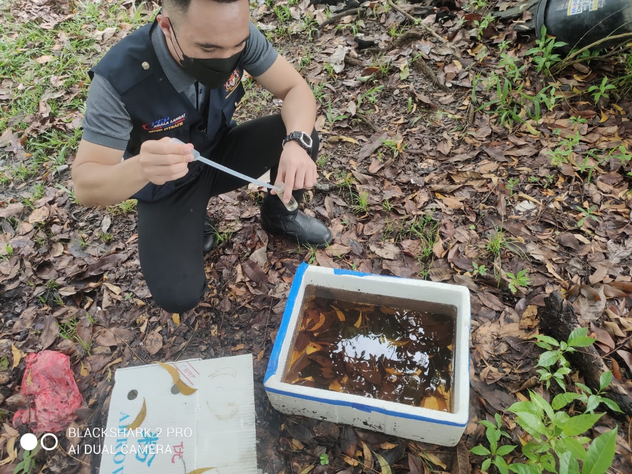 大都会：黑斑蚊在仁嘉隆雅雅山花园肆虐，发生多起骨痛热症