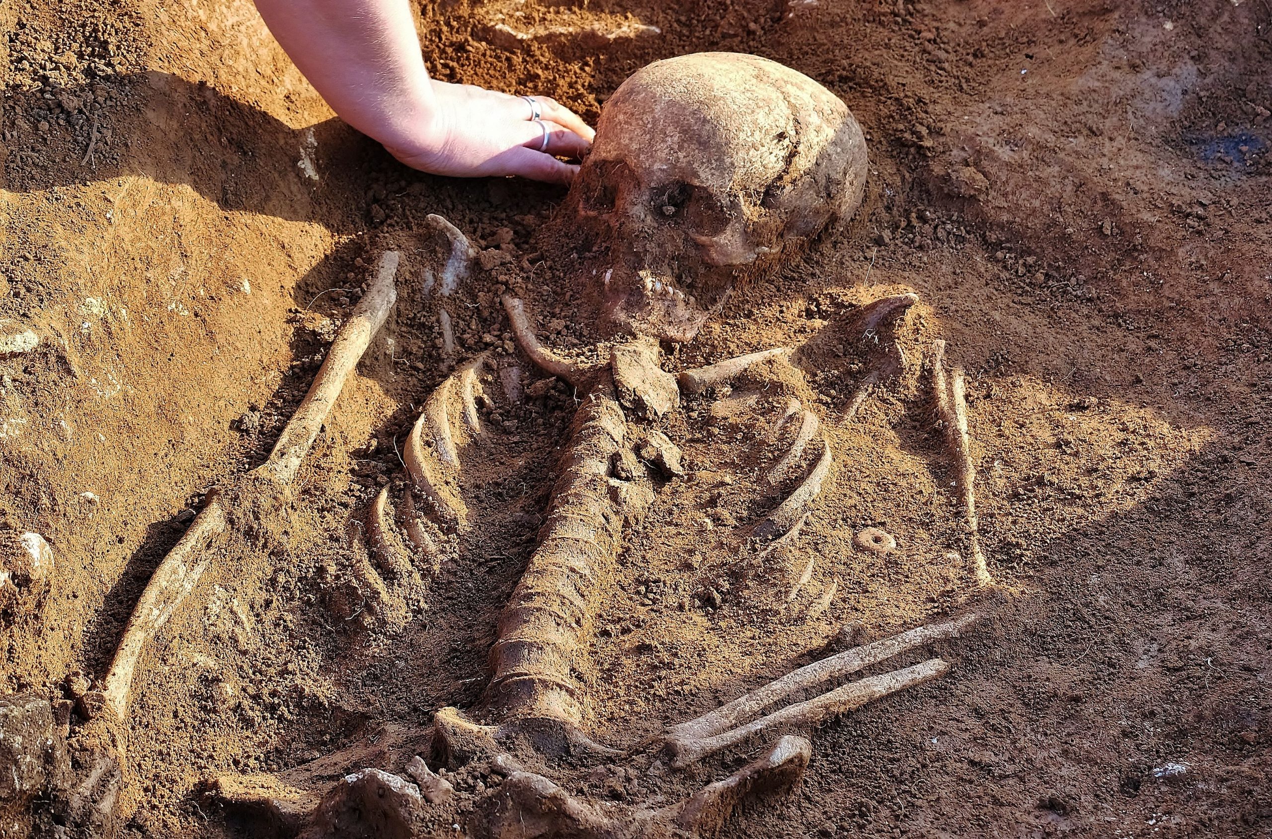 学者研盎格鲁撒克逊人骸骨　证非“食肉兽”