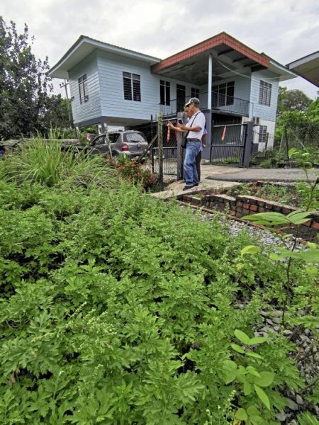 【婆罗洲雨林药草／02】福州人世代传承的草根药膳汤