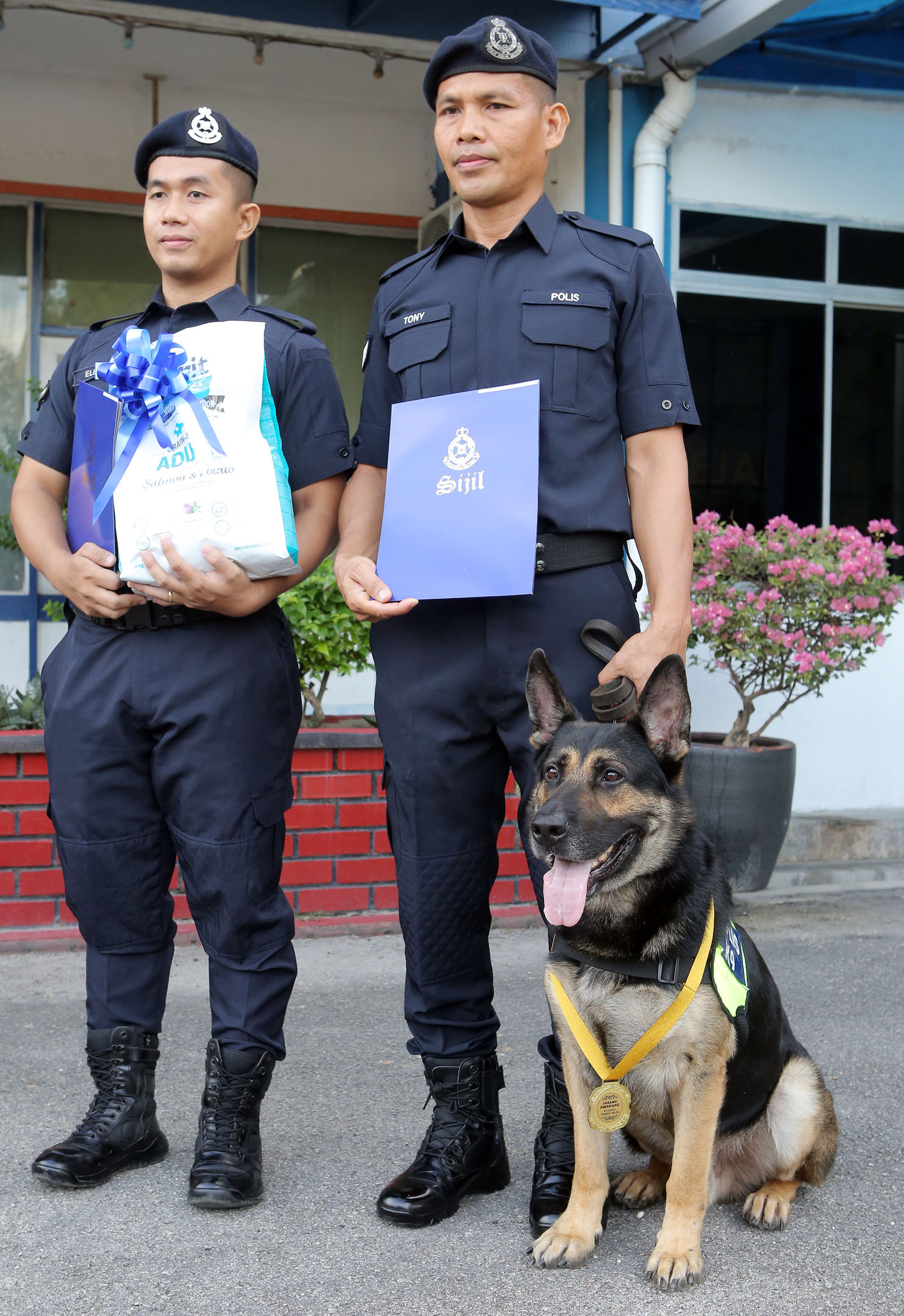  尋獲失蹤者遺體 5歲警犬丘利奧立功獲頒勳章