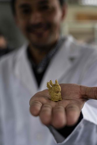 拚图图与文三图）海藻和 3D 打印机：智利喂养孩子的创新方法