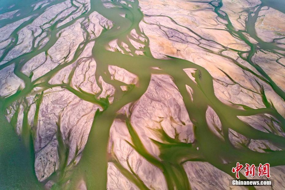  拼盘／黄河永济段水量下降 河床现“大地血脉”景观