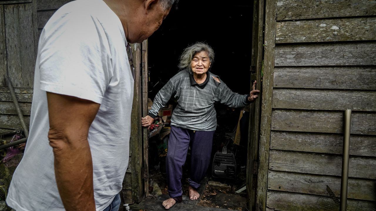 马铃薯叔叔送2牛拟筹建屋 90和50岁母子住没水没电破屋 