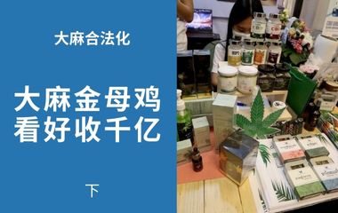 大麻合法化（下）｜食品饮料保健美妆品抢滩 大麻金母鸡 看好收千亿