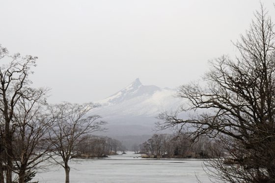 【日本】冬季北海道函馆，赏雪景吃海产