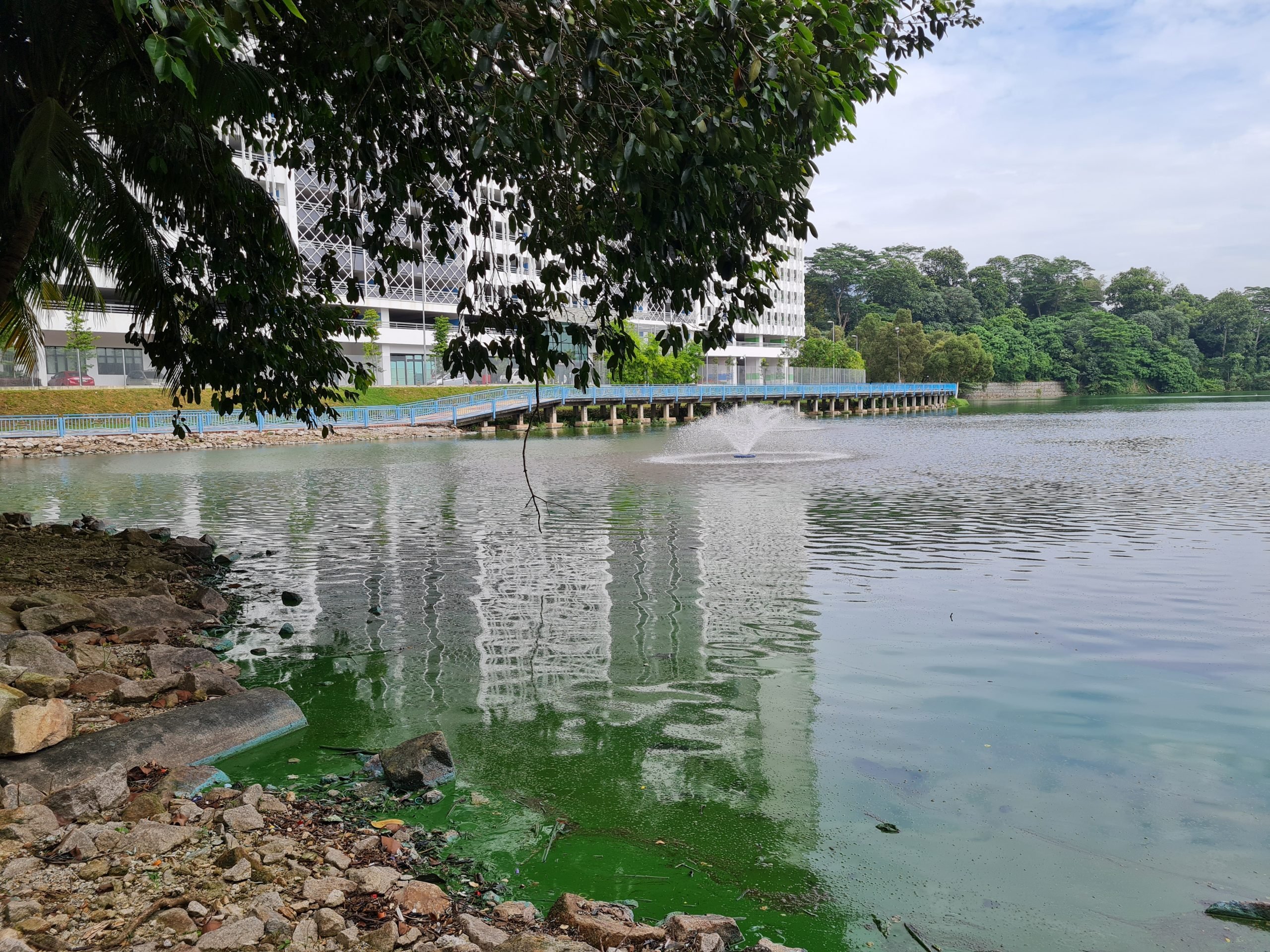 大都会/早报头/余保凭建议增排水口解决湖水飘臭