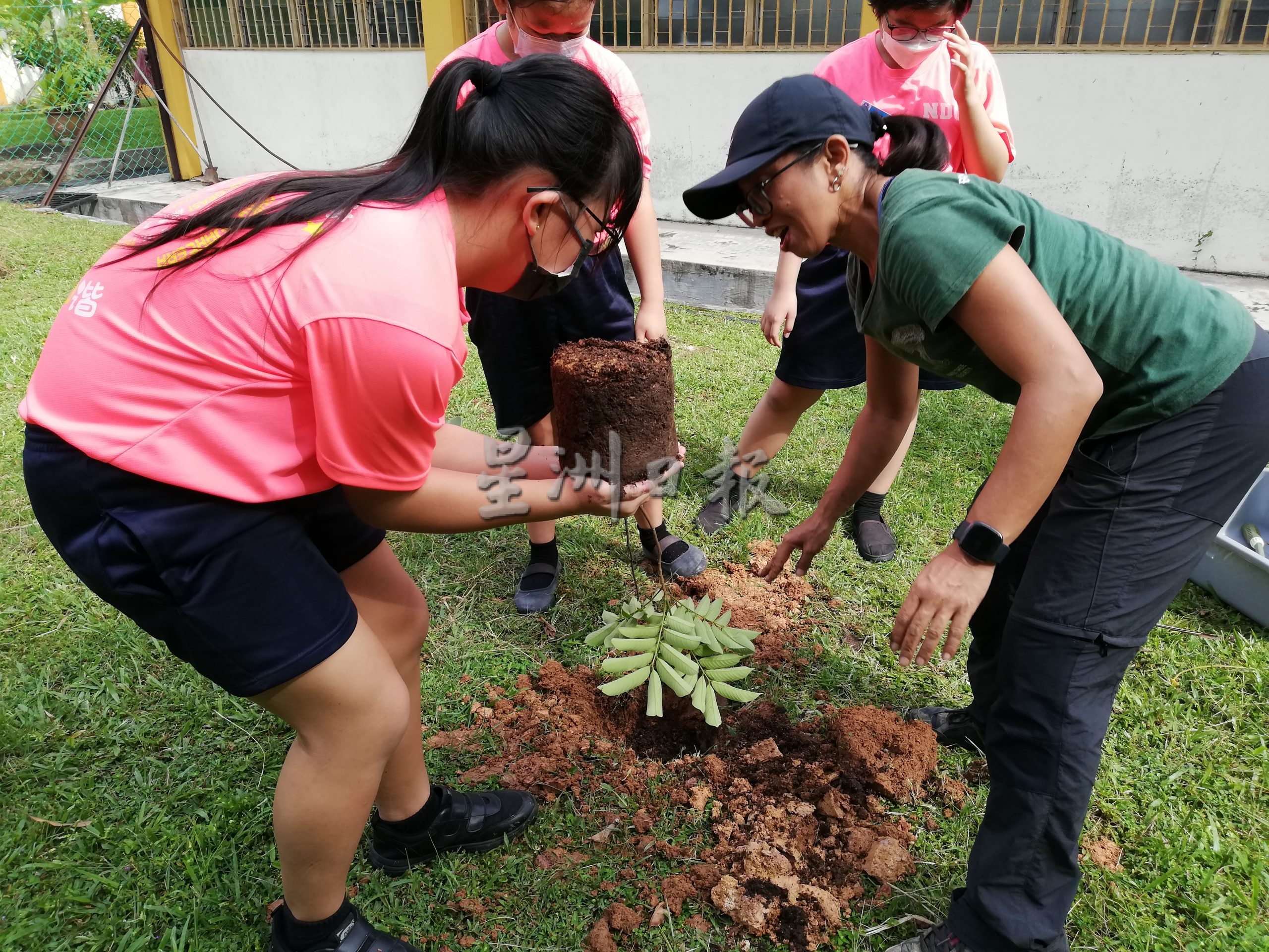 （古城版）圣母小学植树活动