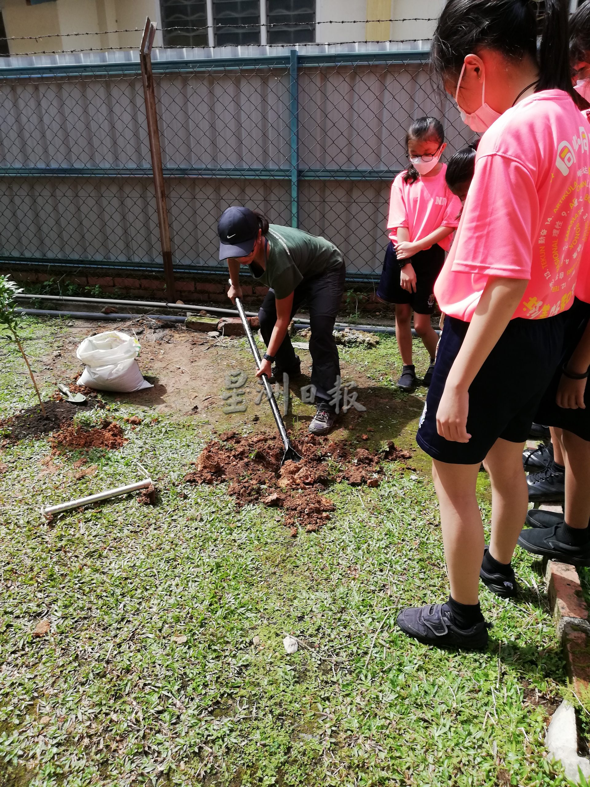 （古城版）圣母小学植树活动