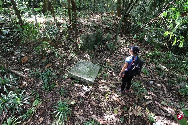 （已签发）柔：狮城二三事：女辅警丛林远足遭砖墙压死 验尸庭：丛林不开放也无官方规划走道