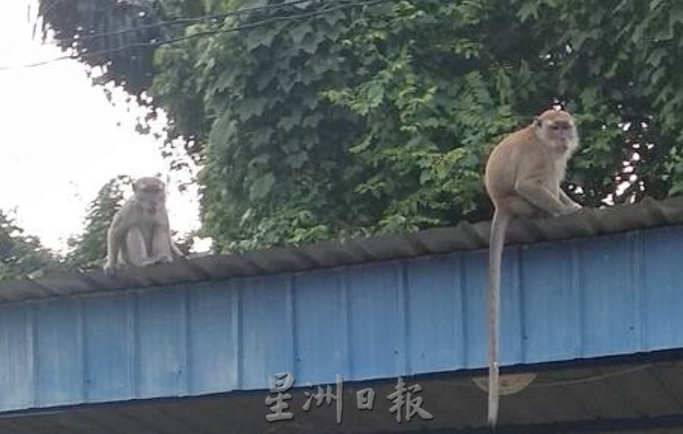 东：文德甲火车站小贩中心民生问题一箩筐，没有获得处理，小贩业者要求有关当局关注予以解决。