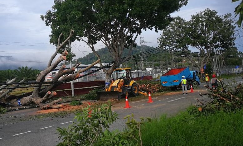 霹：红土坎区投票情况