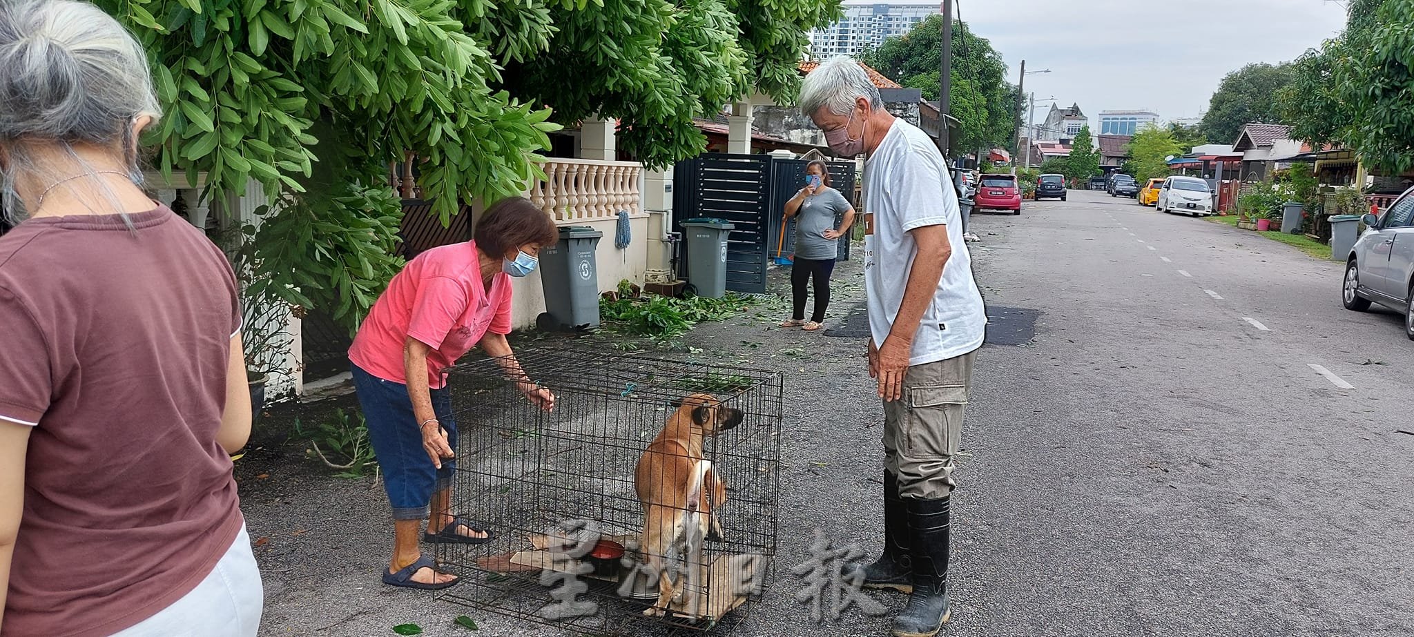 （古城封面主文）行道树倒下压坏民宅