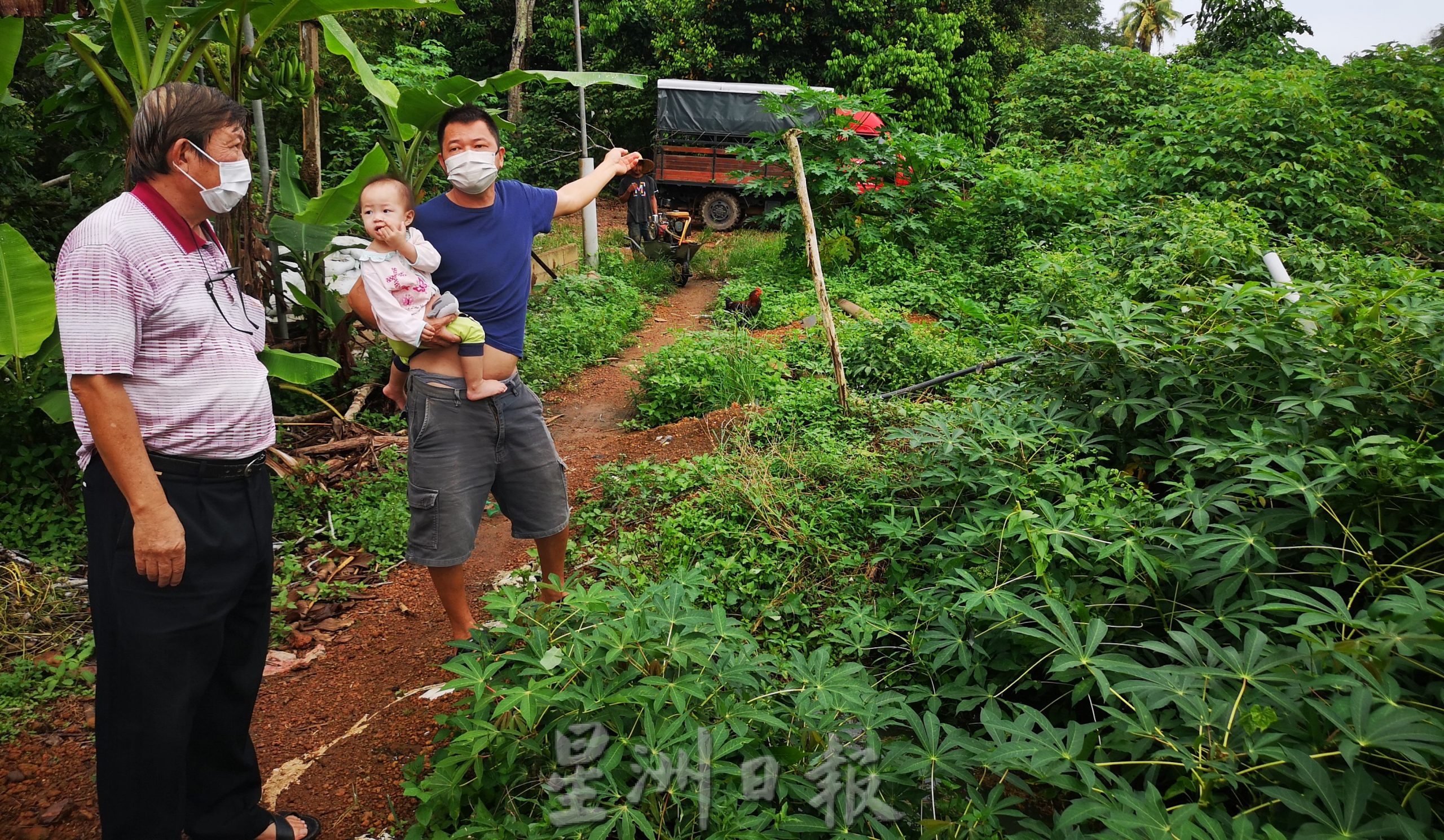 （古城第三版主文）水淹巴也隆布多片菜园，菜农心血被冲毁，欲哭无泪