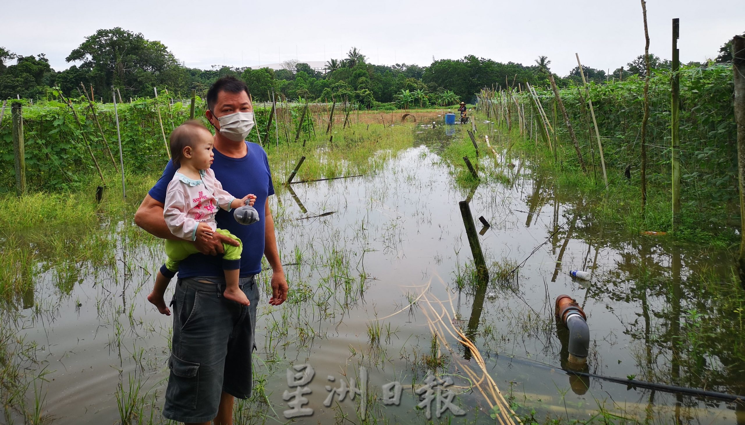 （古城第三版主文）水淹巴也隆布多片菜园，菜农心血被冲毁，欲哭无泪