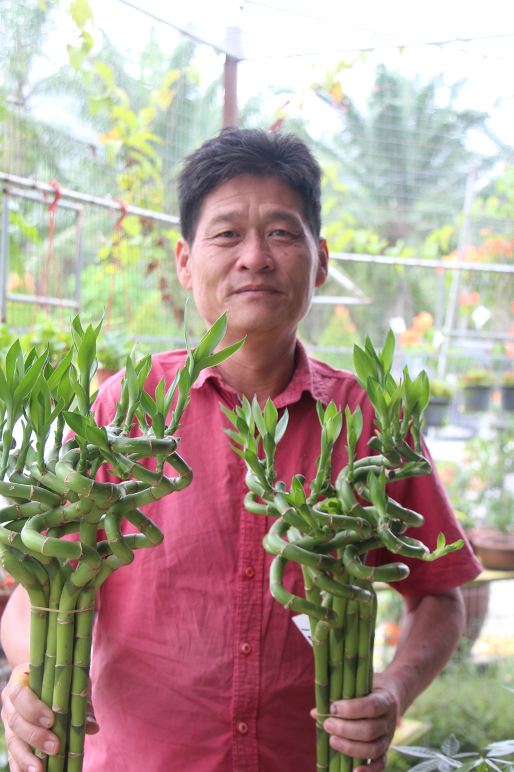 東：農曆新年比往年提早十多天，但中國年花來得比較慢