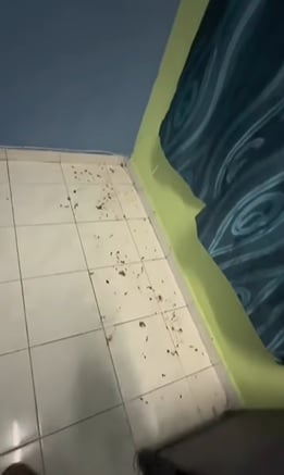 视频 | 好房东RM400租双层排屋·地狱租客留下动物粪便臭尿味