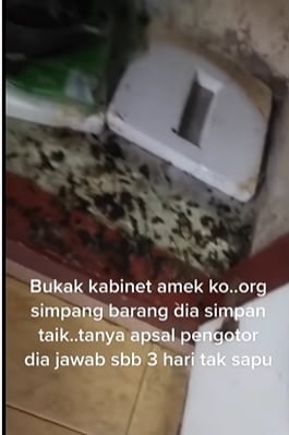視頻 | 好房東RM400租雙層排屋·地獄租客留下動物糞便臭尿味