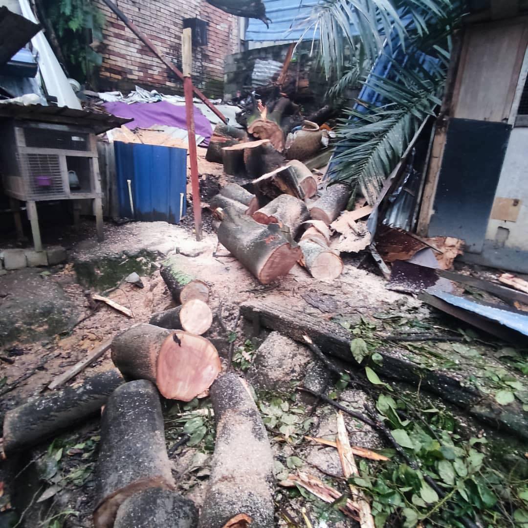 黄洁冰紧急拨款 太平村树砸屋村民获500