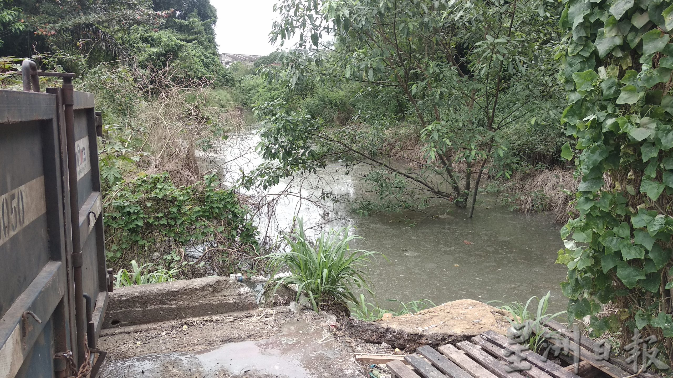 东：连续2天下雨，士曼丹河河水猛涨！