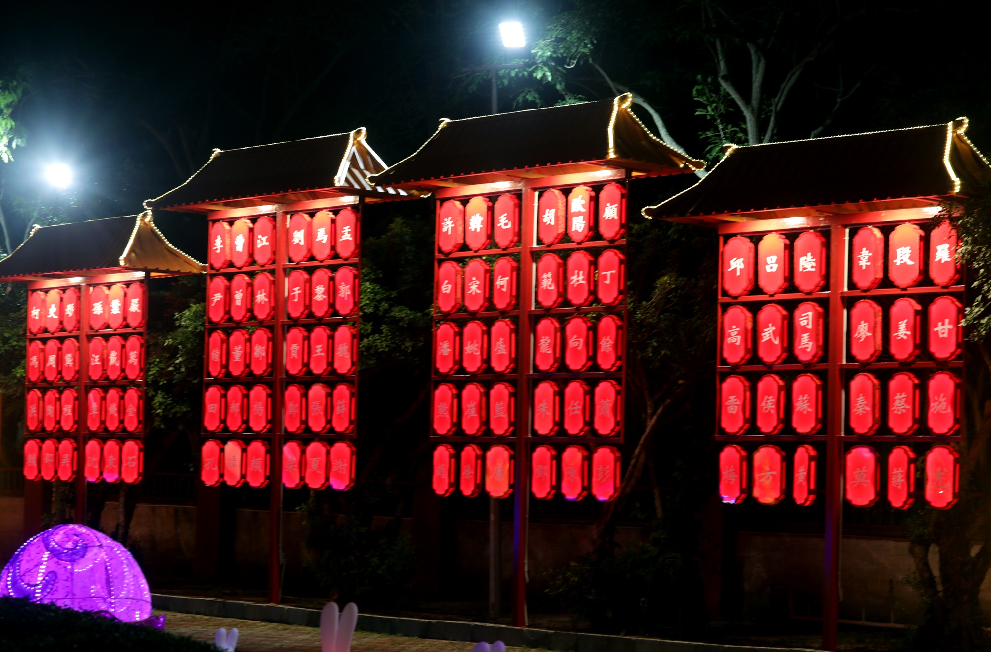 大都会封底（画页）/东禅寺“新春平安灯会及花艺展”