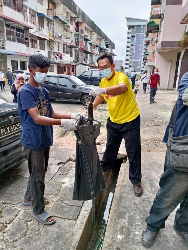 （大北马）峇眼惹玛区州议员孙意志服务中心联合麦曼珍乡委会、末哈莫沙亚乡委会与威省市政厅卫生部展开两天的灭鼠行动。