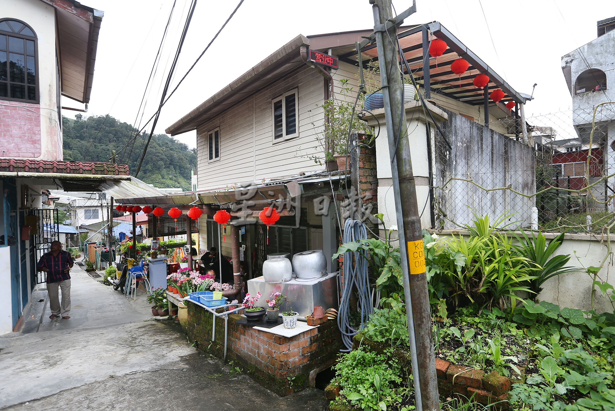 【人气美食】／金马仑住家式板面  彩虹四色最讨喜