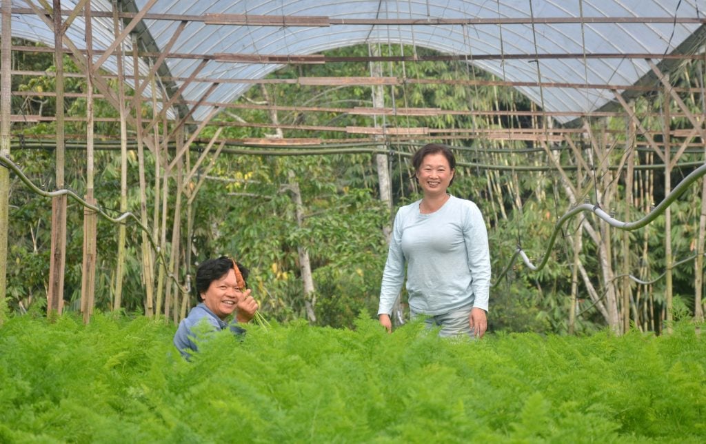 霹 24/3见报：封底主文／执子之手︱“你想要农场 我跟你种菜” 农家神仙眷侣浪漫成日常