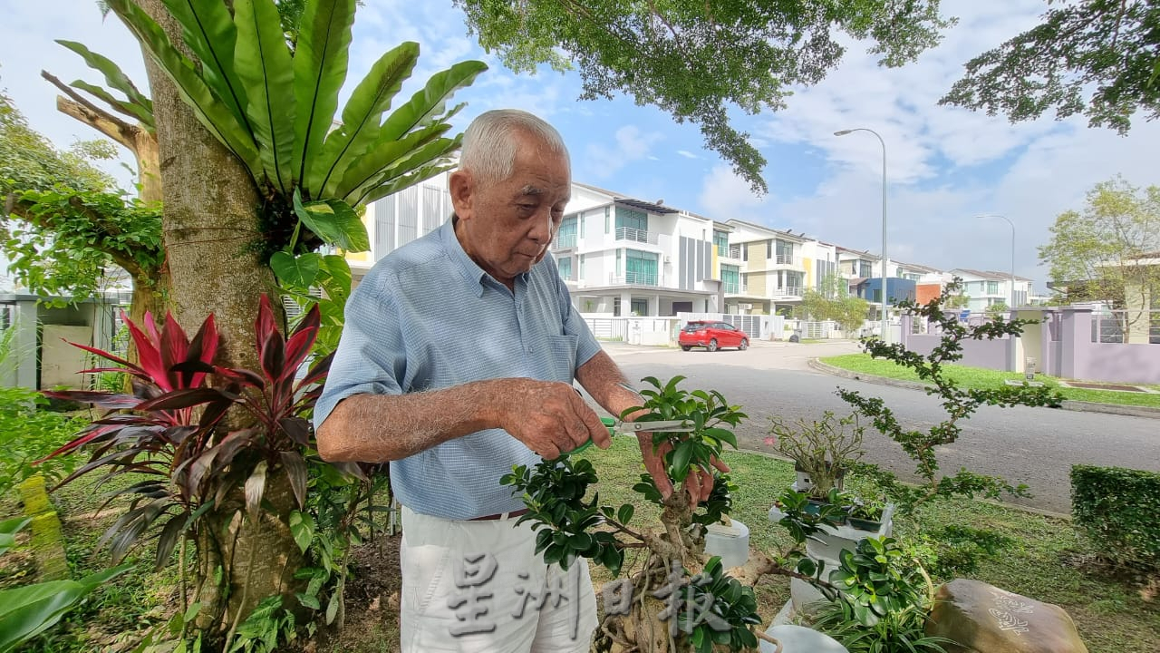 ns芙蓉：83岁老伯以汽车补土打造“万里长城”、仙鹤，布置住宅区小空地