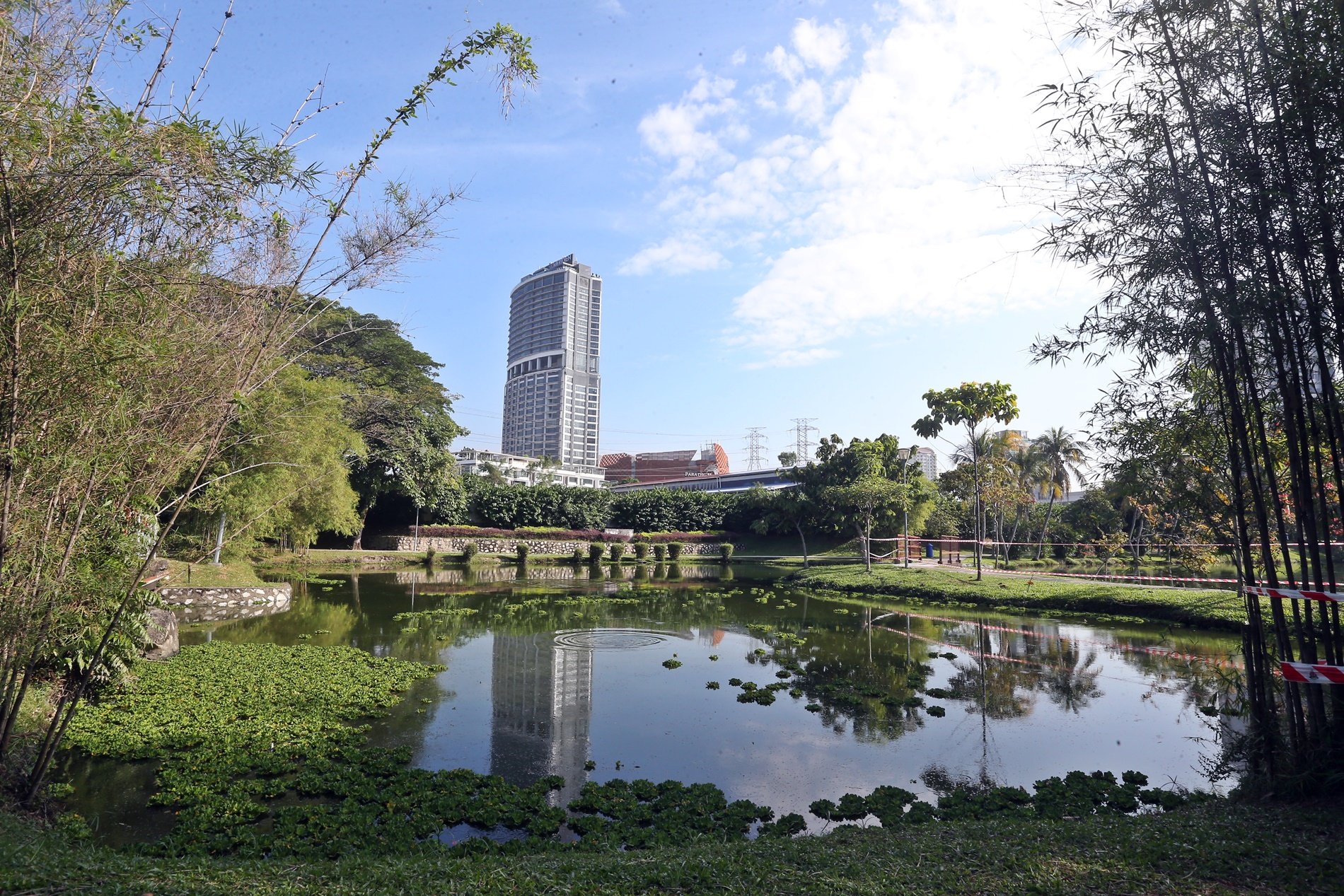 格拉那再也城市公园 逾半月清不完浮萍